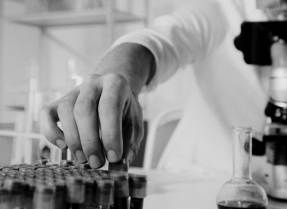 صورة بنترست بني داكن عام صورة تكريم الأب (11)