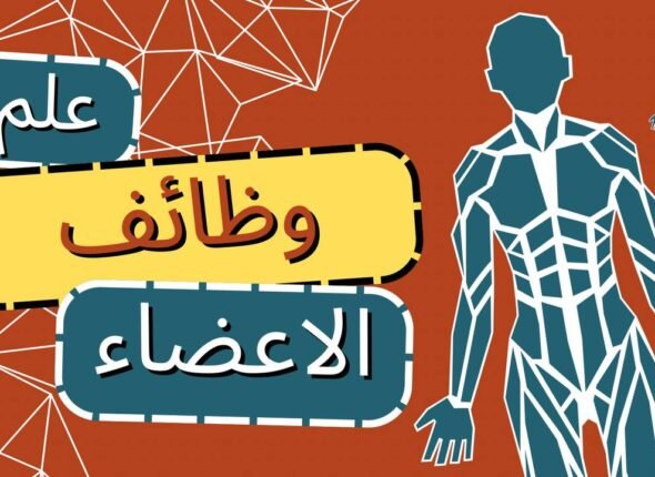 photo_5848021878646181019_y